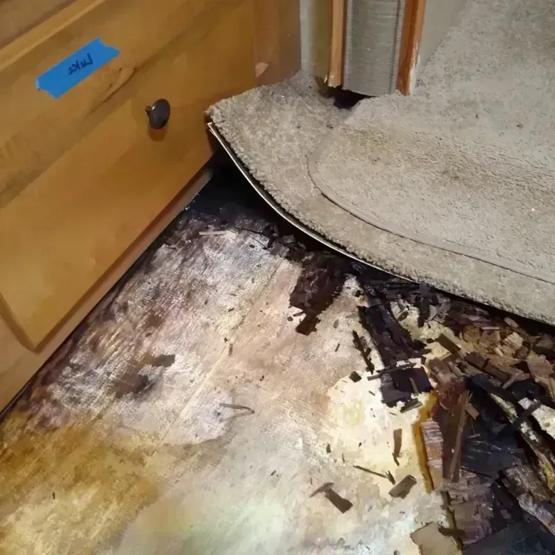 Wood Floor Water Damage in Lake Zurich, IL